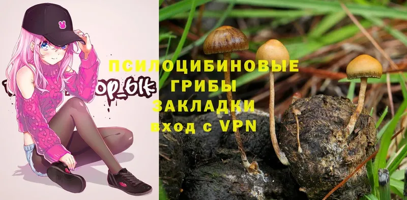 Псилоцибиновые грибы Magic Shrooms  Ишим 